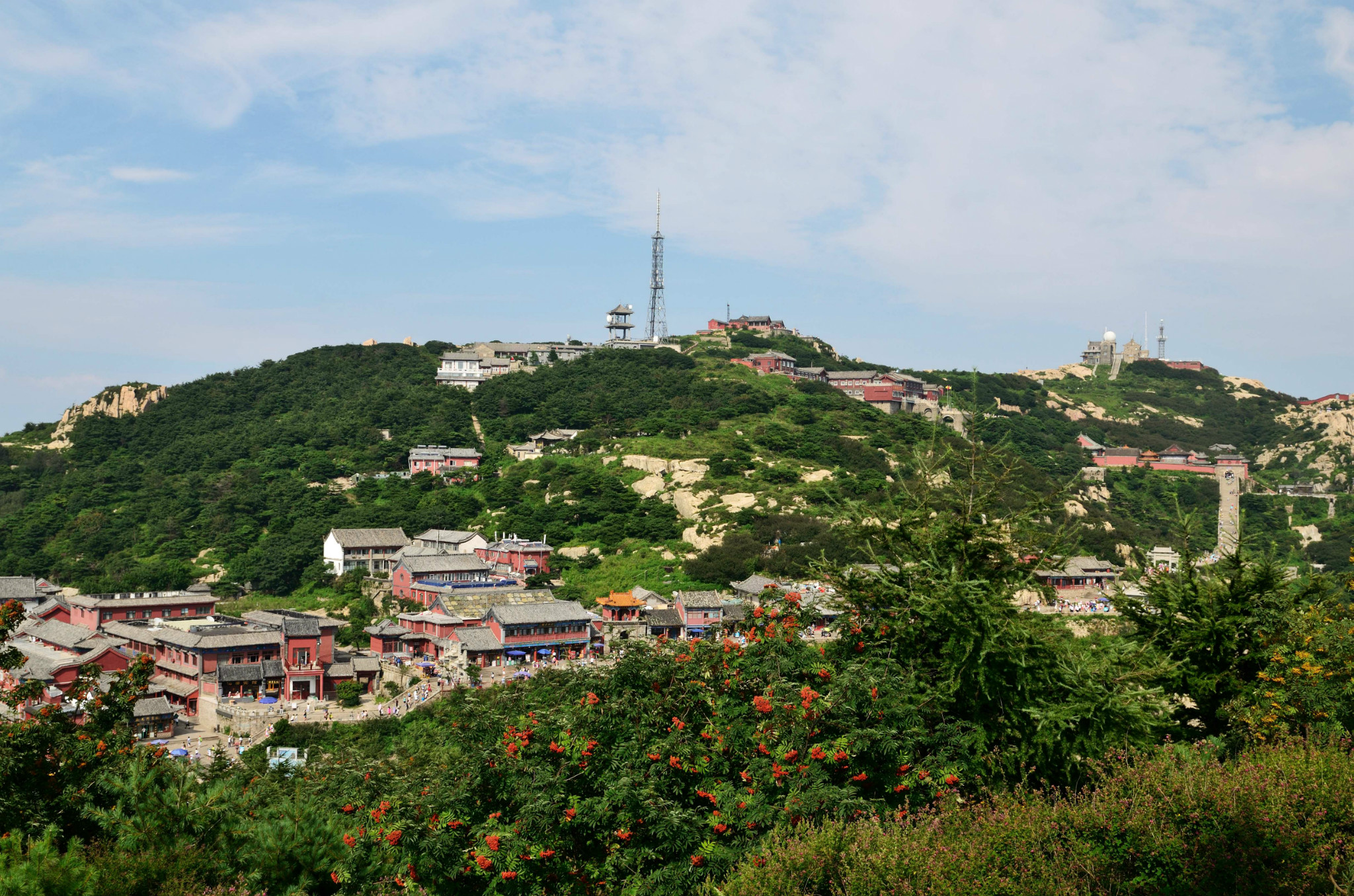 泰安市多少人口有多少_泰安市地图(3)