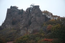 霜叶红于二月花 霜叶红于二月花