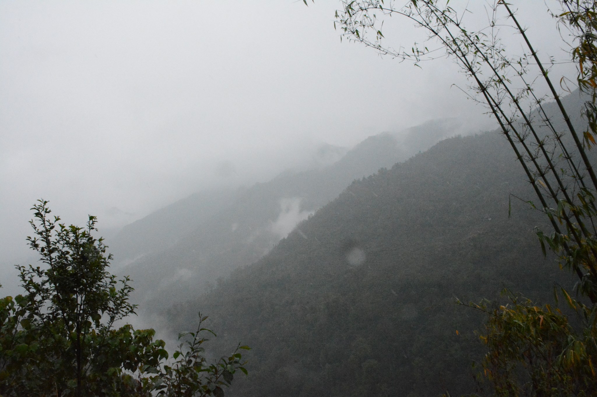 wKgBpVXcSXyAEr8sAAk2wpBdWsg69.jpeg?imageView2%2F2%2Fw%2F680%2Fq%2F90