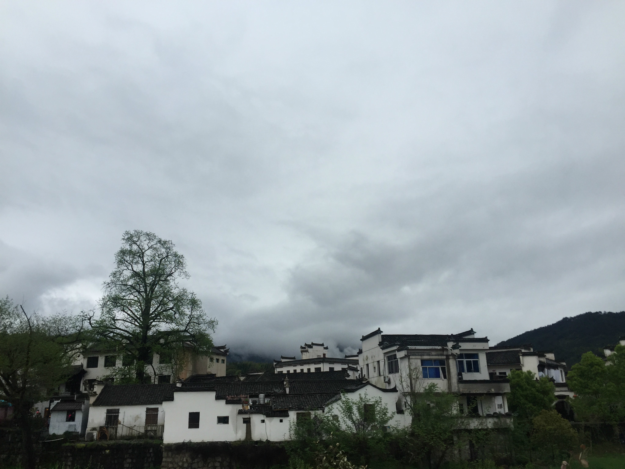 黄山汪姓人口_黄山风景图片(2)