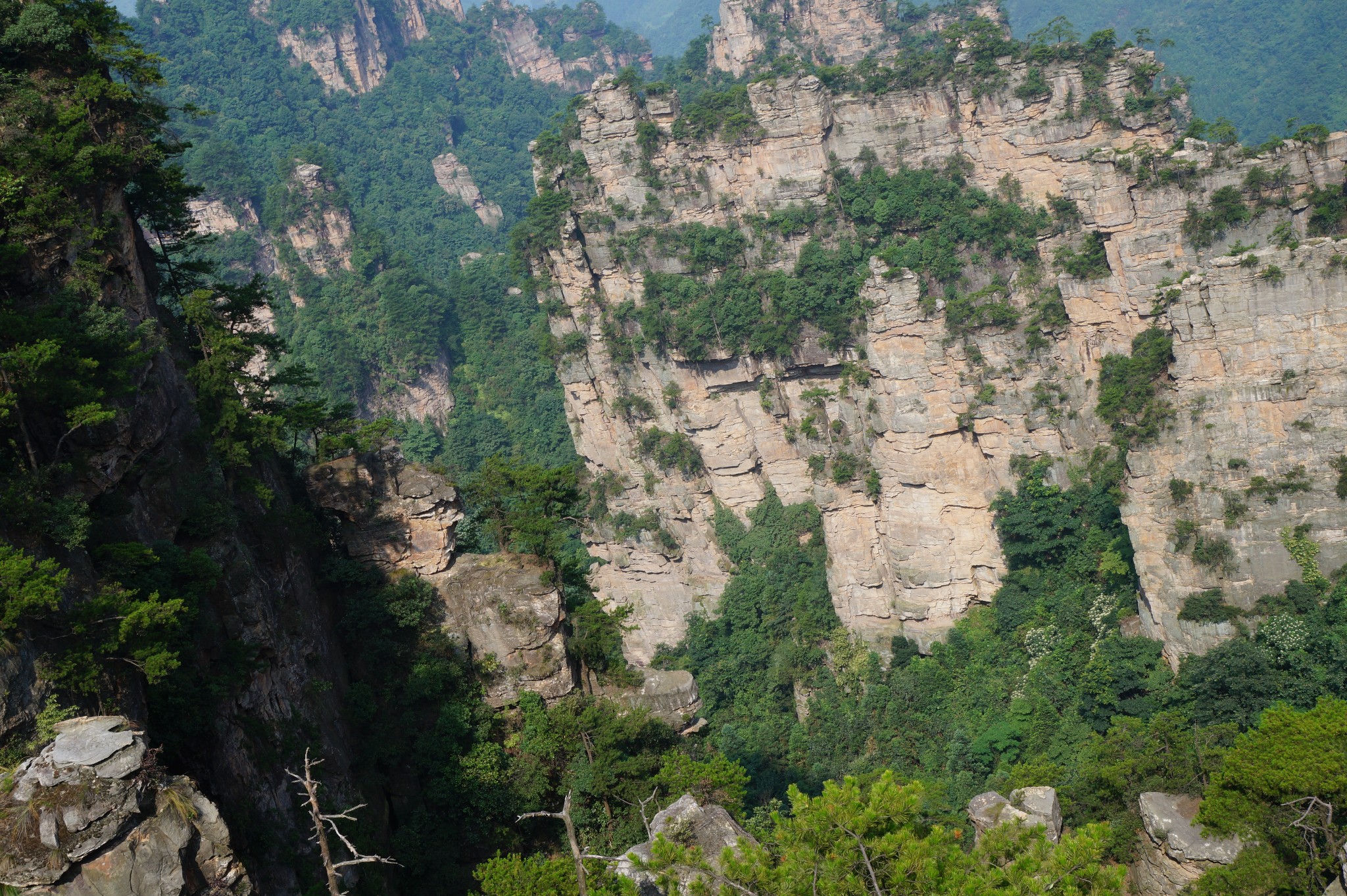 wKgBpVUyiQaAPghrABLe3v_ptOE51.jpeg?imageView2%2F2%2Fw%2F680%2Fq%2F90