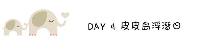 DAY 4 皮皮岛浮潜日 DAY 4 皮皮岛浮潜日
