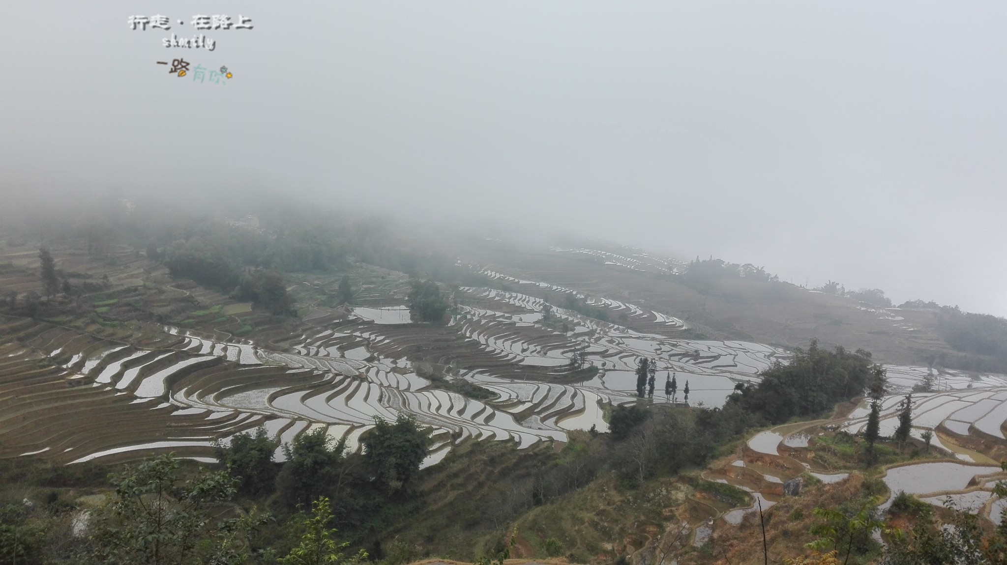 红河州有多少人口_越南的两大经济中心,命脉都被中国握住(3)