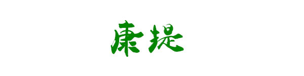 康提 康提