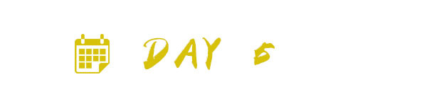 DAY 5 DAY 5