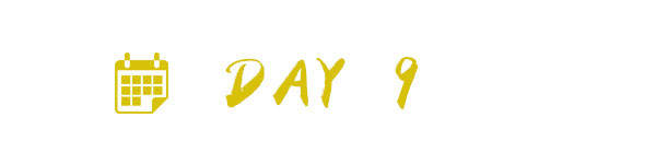 DAY 9 DAY 9