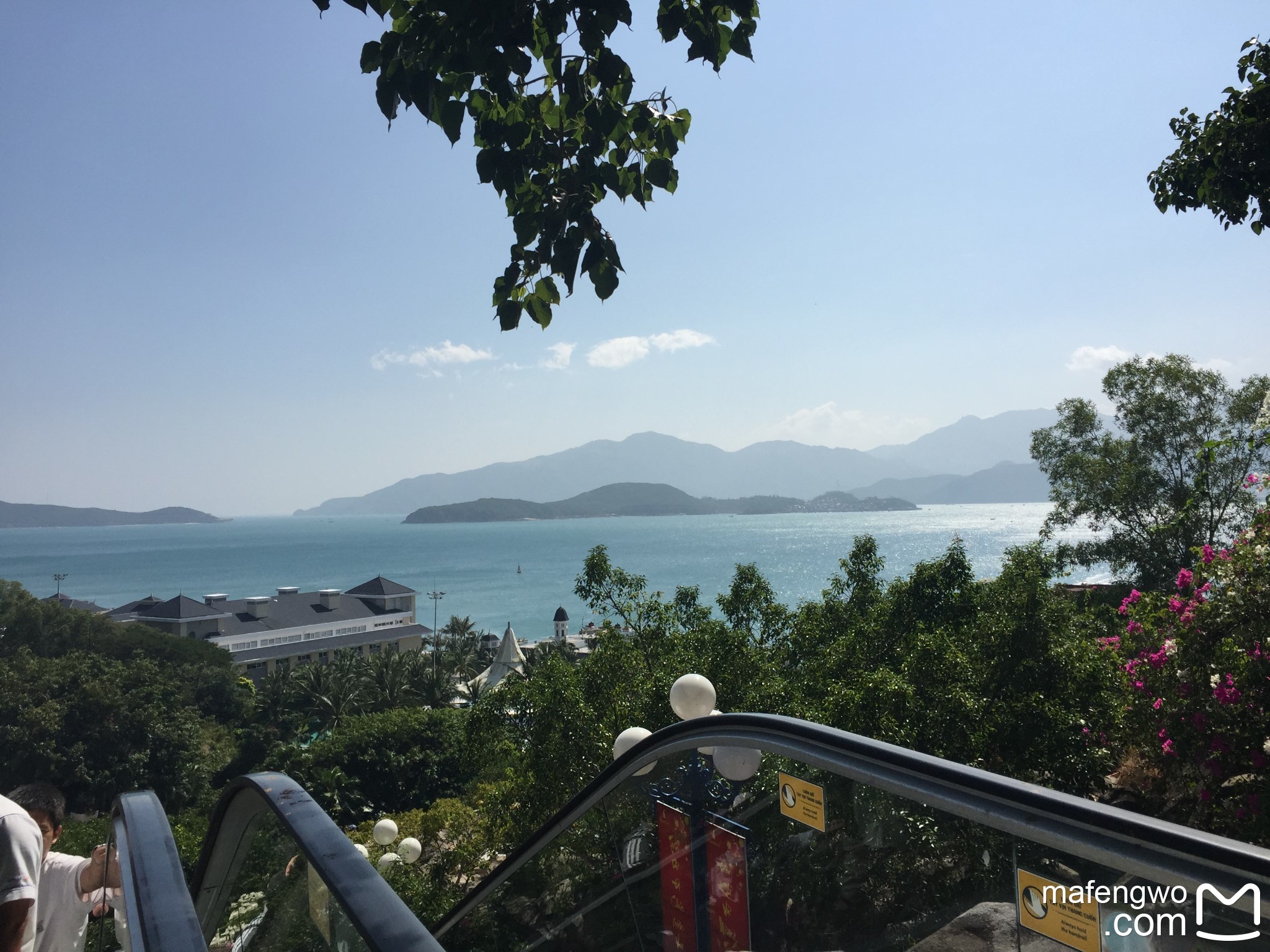 人均几张保单_交强险保单图片(3)
