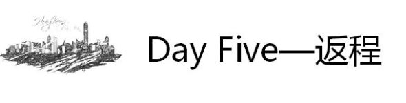 D5 D5