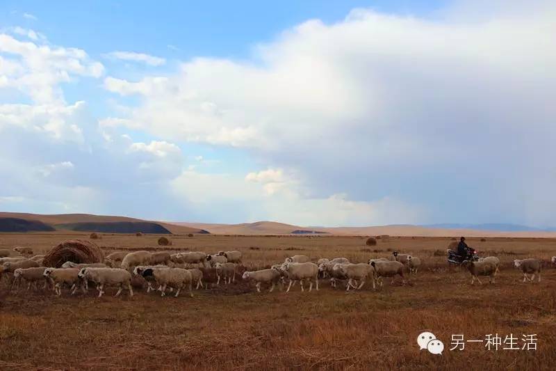 wKgBs1cHC5eAJ_n8AACYIVId_6c84.jpeg?imageView2%2F2%2Fw%2F600%2Fq%2F90