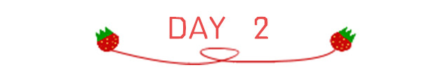 DAY 2 DAY 2