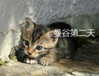 曼谷第二天 曼谷第二天