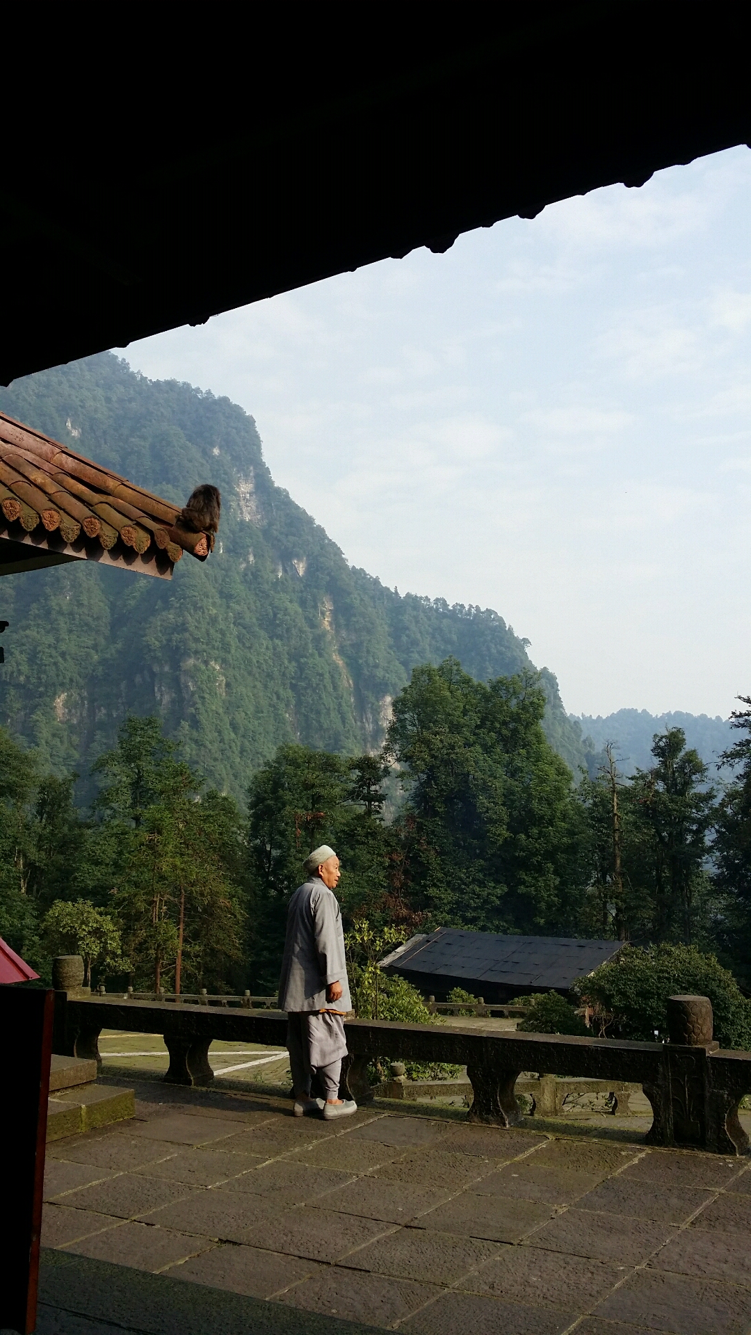 喜歡 仙峰寺的僧人和猴子