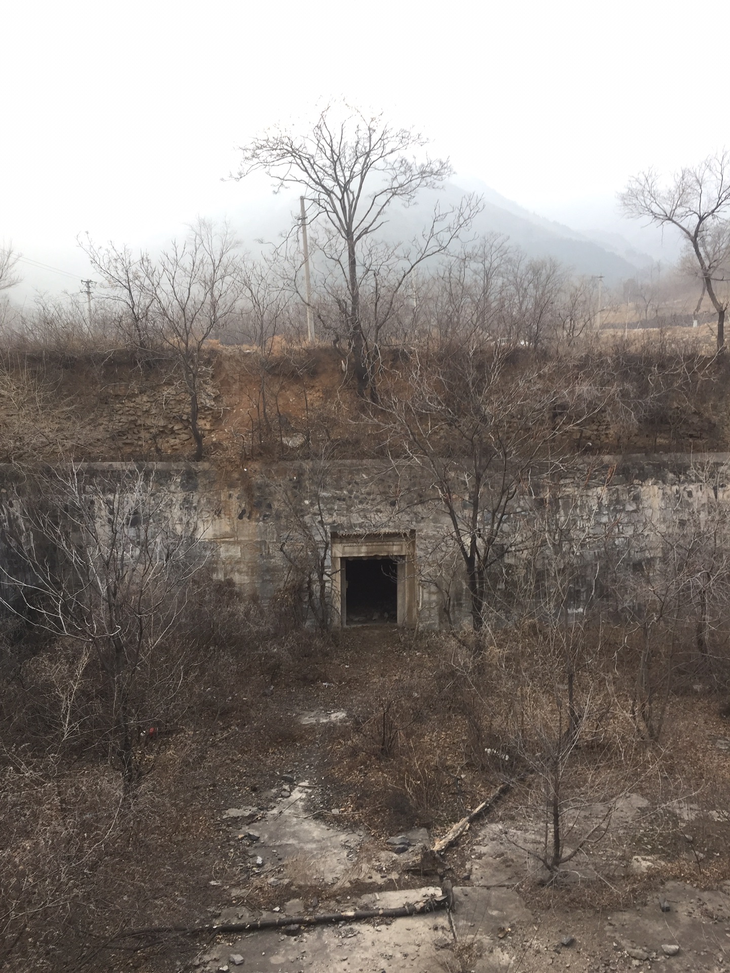 谁能帮我把这张翼年代记的图片换一下背景?