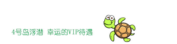 4号岛浮潜,幸运的VIP待遇 4号岛浮潜,幸运的VIP待遇