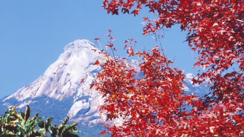 韶关云髻山温泉度假山庄门票