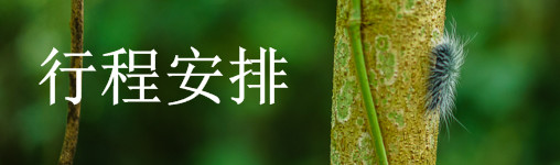 行程安排 行程安排