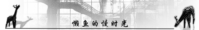 懒鱼的慢时光 懒鱼的慢时光