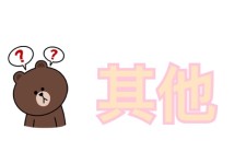 其他 其他